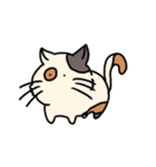 ワヌ（個別スタンプ：4）