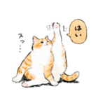 うちの子茶白猫！(にほんねこ)（個別スタンプ：3）