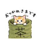 うちの子茶白猫！(にほんねこ)（個別スタンプ：16）