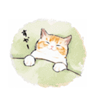 うちの子茶白猫！(にほんねこ)（個別スタンプ：38）