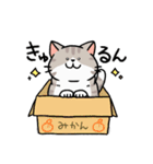 ねこのふくにゃん（個別スタンプ：31）