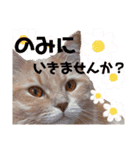 yukichi'sスタンプ（個別スタンプ：3）