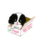 狆 DOG（個別スタンプ：2）