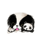 狆 DOG（個別スタンプ：10）