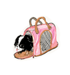 狆 DOG（個別スタンプ：21）