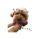 犬じゃないよ、人間だよ。（個別スタンプ：4）