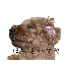 犬じゃないよ、人間だよ。（個別スタンプ：7）