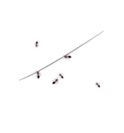 アリが動く（個別スタンプ：13）