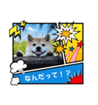 柴犬ハナ(✿・ω・)（個別スタンプ：8）