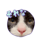 New futaro（個別スタンプ：5）