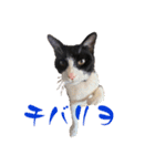 New futaro（個別スタンプ：6）