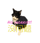 New futaro（個別スタンプ：7）