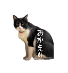 New futaro（個別スタンプ：16）