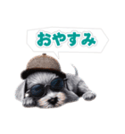 クールドック・犬のLINEスタンプ第2弾！（個別スタンプ：7）