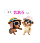 クールドック・犬のLINEスタンプ第2弾！（個別スタンプ：13）