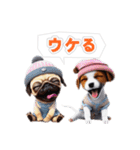 クールドック・犬のLINEスタンプ第2弾！（個別スタンプ：20）