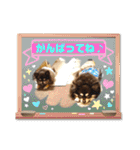 チョコタンチワワの、ソラとリズ♪（個別スタンプ：20）