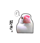 文鳥いいよね（個別スタンプ：7）