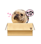 ゆるレオン①（個別スタンプ：2）