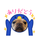 ゆるレオン①（個別スタンプ：6）