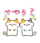 【関西弁】ゆるいネコ♡日常（個別スタンプ：33）