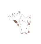 しろいねこのせいかつ（個別スタンプ：8）