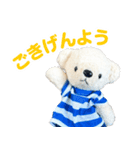 しろくまのぬいぐるみ（個別スタンプ：1）