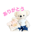 しろくまのぬいぐるみ（個別スタンプ：4）