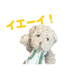 しろくまのぬいぐるみ（個別スタンプ：10）