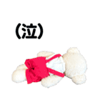 しろくまのぬいぐるみ（個別スタンプ：11）