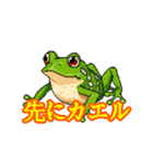 いまからかえる カワイイ ドット絵のカエル（個別スタンプ：2）