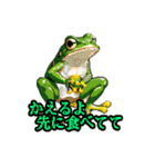 いまからかえる カワイイ ドット絵のカエル（個別スタンプ：10）