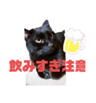 うちの黒猫の福ちゃん(カラフル文字)（個別スタンプ：7）