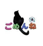 うちの黒猫の福ちゃん(カラフル文字)（個別スタンプ：16）
