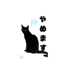 うちの黒猫の福ちゃん(色んなポーズ編)（個別スタンプ：12）