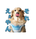 ココちゃんの日常 パート1（個別スタンプ：5）