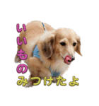 ココちゃんの日常 パート1（個別スタンプ：6）