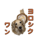 ココちゃんの日常 パート1（個別スタンプ：8）