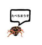 アウトロー天道虫（個別スタンプ：9）
