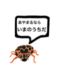 アウトロー天道虫（個別スタンプ：10）
