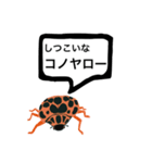 アウトロー天道虫（個別スタンプ：12）