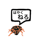 アウトロー天道虫（個別スタンプ：13）