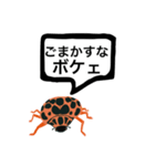 アウトロー天道虫（個別スタンプ：15）