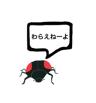 アウトロー天道虫（個別スタンプ：18）