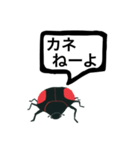 アウトロー天道虫（個別スタンプ：19）