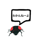 アウトロー天道虫（個別スタンプ：24）