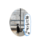 櫻井さんちのイヌ（個別スタンプ：30）