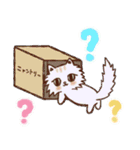 子猫のちゃま（個別スタンプ：16）