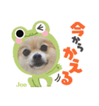 【ジョー＆はる】家族で使える日常スタンプ（個別スタンプ：3）