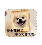 【ジョー＆はる】家族で使える日常スタンプ（個別スタンプ：7）